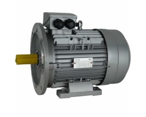 IE1 Elektromotor 0,55 kW, 230/400 Volt 1500 RPM